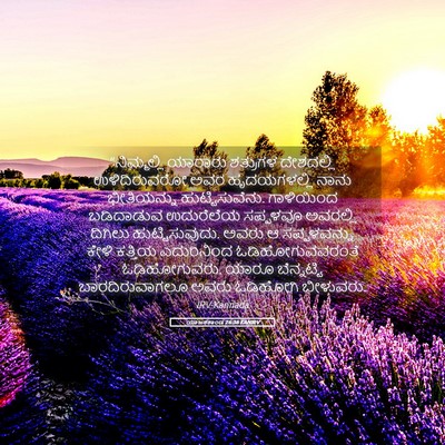 Picture 05 - ಯಾಜಕಕಾಂಡ 26:36 KANIRV - “ನಿಮ್ಮಲ್ಲಿ ಯಾರಾರು - Bible Verse Picture