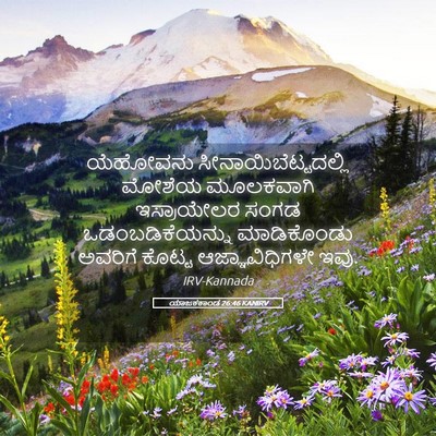 Picture 05 - ಯಾಜಕಕಾಂಡ 26:46 KANIRV - ಯೆಹೋವನು - Bible Verse Picture