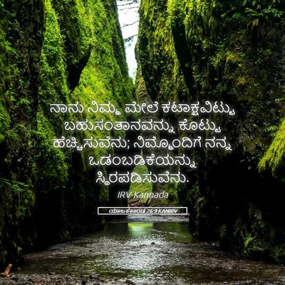 Picture 05 - ಯಾಜಕಕಾಂಡ 26:9 KANIRV - ನಾನು ನಿಮ್ಮ ಮೇಲೆ - Bible Verse Picture