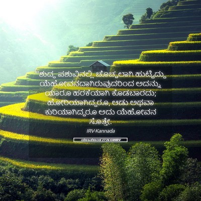 Picture 05 - ಯಾಜಕಕಾಂಡ 27:26 KANIRV - “‘ಶುದ್ಧ - Bible Verse Picture
