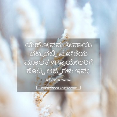Picture 05 - ಯಾಜಕಕಾಂಡ 27:34 KANIRV - ಯೆಹೋವನು ಸೀನಾಯಿ - Bible Verse Picture