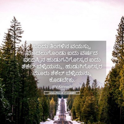 Picture 05 - ಯಾಜಕಕಾಂಡ 27:6 KANIRV - ಒಂದು ತಿಂಗಳಿನ - Bible Verse Picture