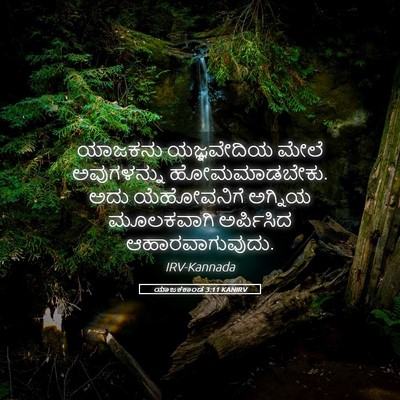 Picture 05 - ಯಾಜಕಕಾಂಡ 3:11 KANIRV - ಯಾಜಕನು ಯಜ್ಞವೇದಿಯ - Bible Verse Picture