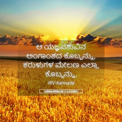 Picture 05 - ಯಾಜಕಕಾಂಡ 3:3 KANIRV - ಆ ಯಜ್ಞಪಶುವಿನ - Bible Verse Picture