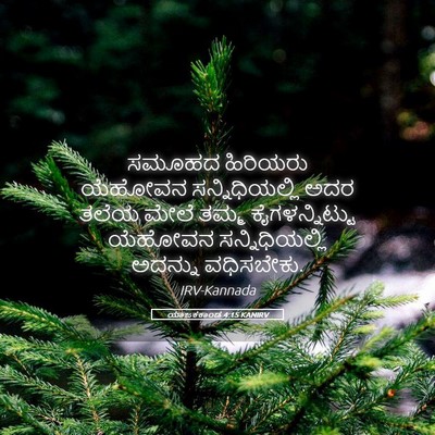 Picture 05 - ಯಾಜಕಕಾಂಡ 4:15 KANIRV - ಸಮೂಹದ ಹಿರಿಯರು - Bible Verse Picture