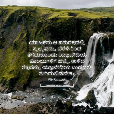 Picture 05 - ಯಾಜಕಕಾಂಡ 4:25 KANIRV - ಯಾಜಕನು ಆ - Bible Verse Picture