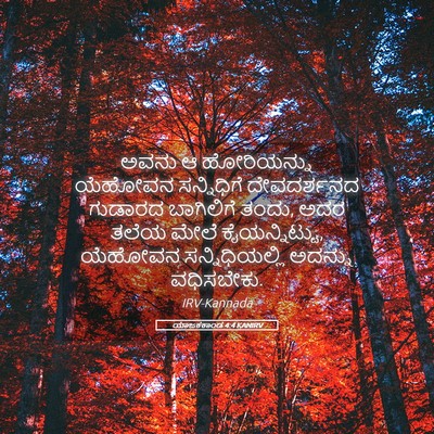 Picture 05 - ಯಾಜಕಕಾಂಡ 4:4 KANIRV - ಅವನು ಆ ಹೋರಿಯನ್ನು - Bible Verse Picture