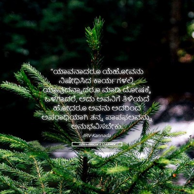 Picture 05 - ಯಾಜಕಕಾಂಡ 5:17 KANIRV - “ಯಾವನಾದರೂ ಯೆಹೋವನು - Bible Verse Picture