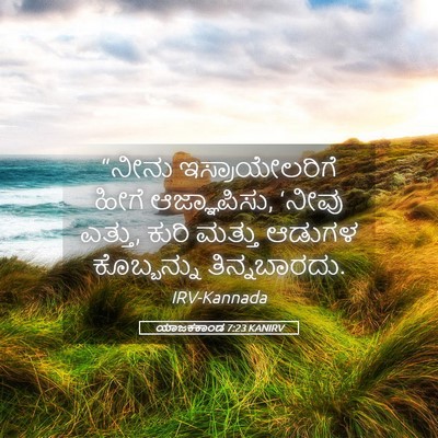 Picture 05 - ಯಾಜಕಕಾಂಡ 7:23 KANIRV - “ನೀನು - Bible Verse Picture