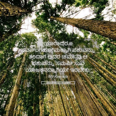 Picture 05 - ಯಾಜಕಕಾಂಡ 7:8 KANIRV - ಯಾರಾದರೂ - Bible Verse Picture