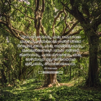 Picture 05 - ಯಾಜಕಕಾಂಡ 8:2 KANIRV - “ನೀನು ಆರೋನನನ್ನು - Bible Verse Picture