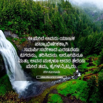 Picture 05 - ಯಾಜಕಕಾಂಡ 8:22 KANIRV - ಆ ಮೇಲೆ ಅವನು ಯಾಜಕ - Bible Verse Picture