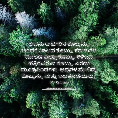 Picture 05 - ಯಾಜಕಕಾಂಡ 8:25 KANIRV - ಅವನು ಆ ಟಗರಿನ - Bible Verse Picture