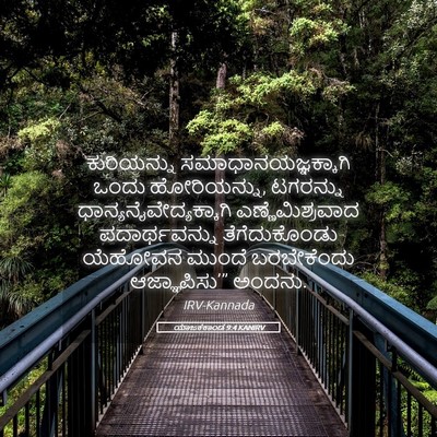 Picture 05 - ಯಾಜಕಕಾಂಡ 9:4 KANIRV - ಕುರಿಯನ್ನು - Bible Verse Picture