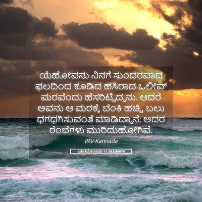 Picture 05 - ಯೆರೆಮೀಯನು 11:16 KANIRV - ಯೆಹೋವನು ನಿನಗೆ - Bible Verse Picture