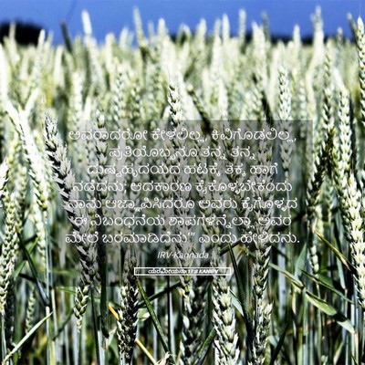Picture 05 - ಯೆರೆಮೀಯನು 11:8 KANIRV - ಅವರಾದರೋ ಕೇಳಲಿಲ್ಲ, - Bible Verse Picture