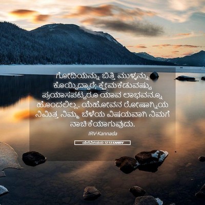 Picture 05 - ಯೆರೆಮೀಯನು 12:13 KANIRV - ಗೋದಿಯನ್ನು ಬಿತ್ತಿ - Bible Verse Picture