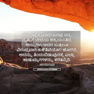 Picture 05 - ಯೆರೆಮೀಯನು 12:9 KANIRV - ನನ್ನ ಸ್ವಾಸ್ತ್ಯವಾದ - Bible Verse Picture