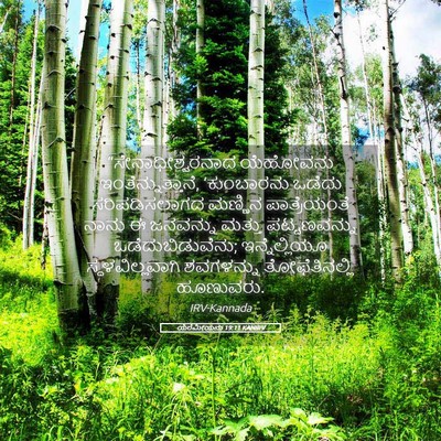 Picture 05 - ಯೆರೆಮೀಯನು 19:11 KANIRV - “ಸೇನಾಧೀಶ್ವರನಾದ - Bible Verse Picture