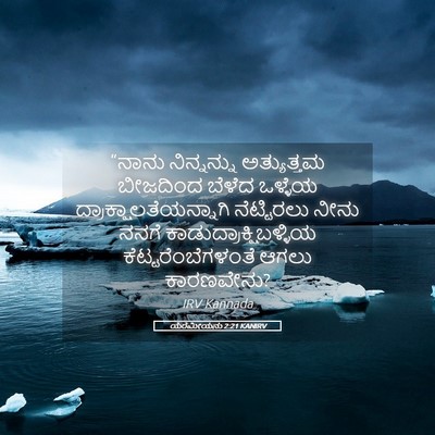 Picture 05 - ಯೆರೆಮೀಯನು 2:21 KANIRV - “ನಾನು ನಿನ್ನನ್ನು - Bible Verse Picture