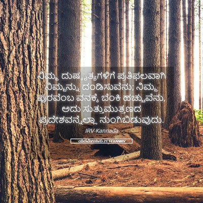 Picture 05 - ಯೆರೆಮೀಯನು 21:14 KANIRV - ನಿಮ್ಮ - Bible Verse Picture