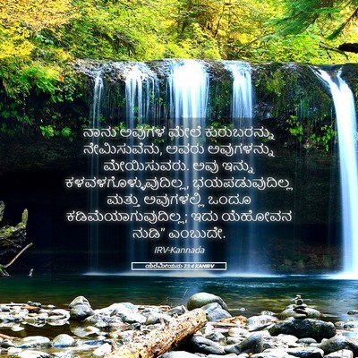 Picture 05 - ಯೆರೆಮೀಯನು 23:4 KANIRV - ನಾನು ಅವುಗಳ ಮೇಲೆ - Bible Verse Picture