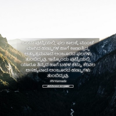 Picture 05 - ಯೆರೆಮೀಯನು 24:2 KANIRV - ಒಂದು ಪುಟ್ಟಿಯಲ್ಲಿ - Bible Verse Picture