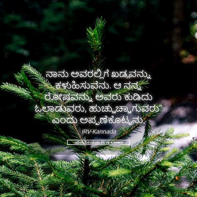 Picture 05 - ಯೆರೆಮೀಯನು 25:16 KANIRV - ನಾನು ಅವರಲ್ಲಿಗೆ - Bible Verse Picture
