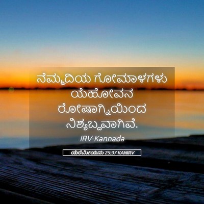 Picture 05 - ಯೆರೆಮೀಯನು 25:37 KANIRV - ನೆಮ್ಮದಿಯ ಗೋಮಾಳಗಳು - Bible Verse Picture