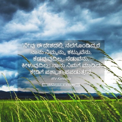 Picture 05 - ಯೆರೆಮೀಯನು 42:10 KANIRV - ‘ನೀವು ಈ ದೇಶದಲ್ಲಿ - Bible Verse Picture