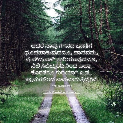 Picture 05 - ಯೆರೆಮೀಯನು 44:18 KANIRV - ಆದರೆ ನಾವು ಗಗನದ - Bible Verse Picture