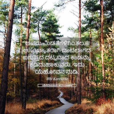 Picture 05 - ಯೆರೆಮೀಯನು 46:23 KANIRV - ಅವರು - Bible Verse Picture