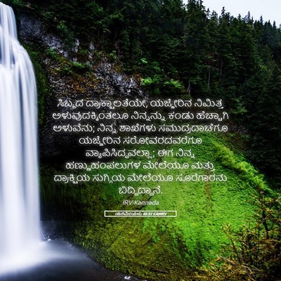 Picture 05 - ಯೆರೆಮೀಯನು 48:32 KANIRV - ಸಿಬ್ಮದ - Bible Verse Picture