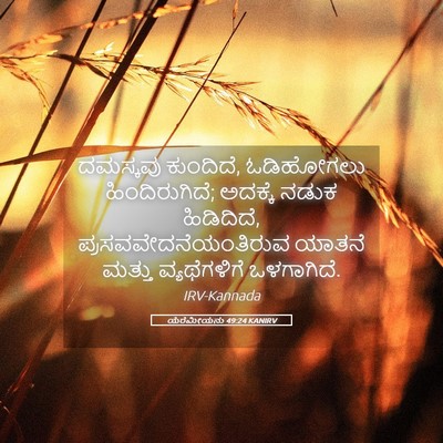 Picture 05 - ಯೆರೆಮೀಯನು 49:24 KANIRV - ದಮಸ್ಕವು ಕುಂದಿದೆ, - Bible Verse Picture