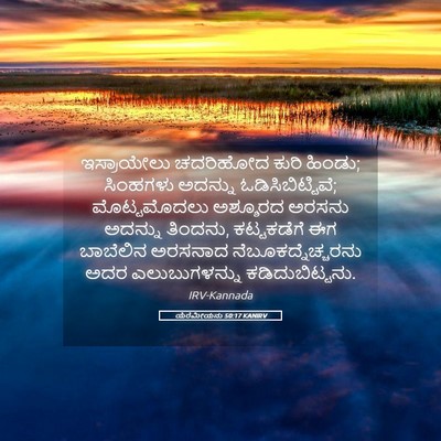 Picture 05 - ಯೆರೆಮೀಯನು 50:17 KANIRV - ಇಸ್ರಾಯೇಲು ಚದರಿಹೋದ - Bible Verse Picture