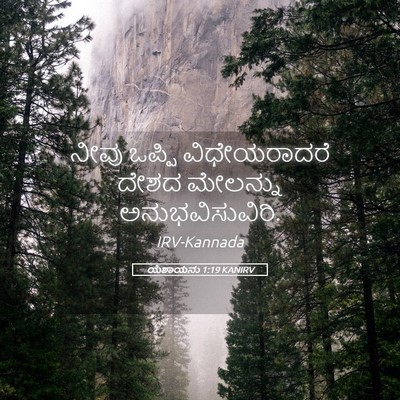 Picture 05 - ಯೆಶಾಯನು 1:19 KANIRV - ನೀವು ಒಪ್ಪಿ - Bible Verse Picture
