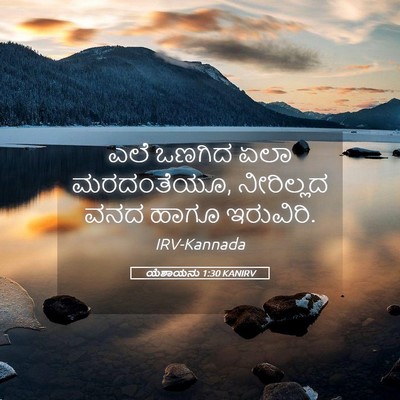Picture 05 - ಯೆಶಾಯನು 1:30 KANIRV - ಎಲೆ ಒಣಗಿದ ಏಲಾ - Bible Verse Picture