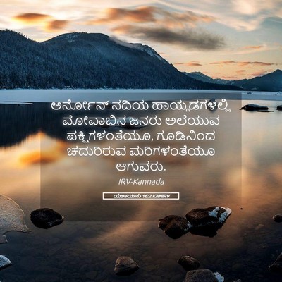 Picture 05 - ಯೆಶಾಯನು 16:2 KANIRV - ಅರ್ನೋನ್ ನದಿಯ - Bible Verse Picture