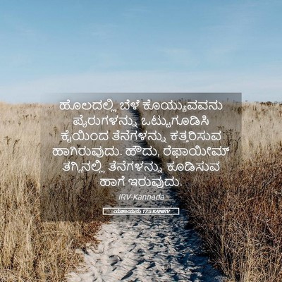 Picture 05 - ಯೆಶಾಯನು 17:5 KANIRV - ಹೊಲದಲ್ಲಿ ಬೆಳೆ - Bible Verse Picture
