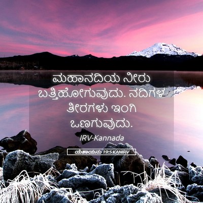 Picture 05 - ಯೆಶಾಯನು 19:5 KANIRV - ಮಹಾನದಿಯ ನೀರು - Bible Verse Picture