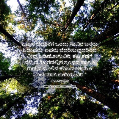 Picture 05 - ಯೆಶಾಯನು 30:17 KANIRV - ಒಬ್ಬನ ಬೆದರಿಕೆಗೆ - Bible Verse Picture