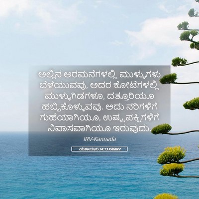 Picture 05 - ಯೆಶಾಯನು 34:13 KANIRV - ಅಲ್ಲಿನ - Bible Verse Picture