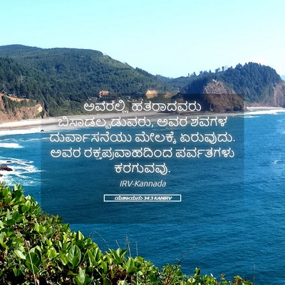 Picture 05 - ಯೆಶಾಯನು 34:3 KANIRV - ಅವರಲ್ಲಿ ಹತರಾದವರು - Bible Verse Picture
