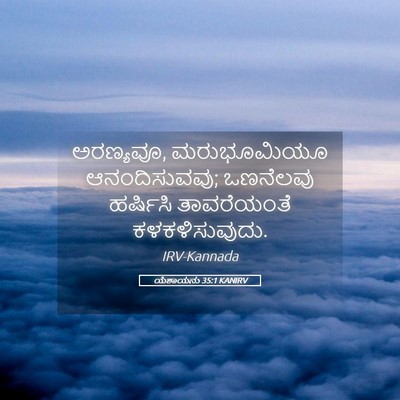 Picture 05 - ಯೆಶಾಯನು 35:1 KANIRV - ಅರಣ್ಯವೂ, - Bible Verse Picture