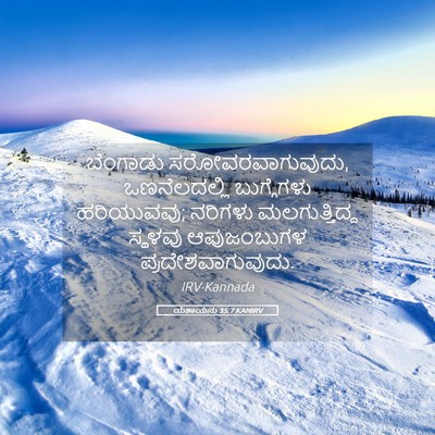 Picture 05 - ಯೆಶಾಯನು 35:7 KANIRV - ಬೆಂಗಾಡು - Bible Verse Picture