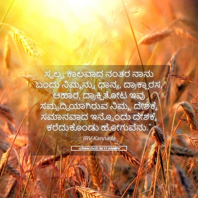 Picture 05 - ಯೆಶಾಯನು 36:17 KANIRV - ಸ್ವಲ್ಪ ಕಾಲವಾದ - Bible Verse Picture