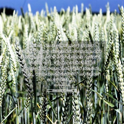Picture 05 - ಯೆಶಾಯನು 37:7 KANIRV - ಇಗೋ, ನಾನು ಅವನ ಮೇಲೆ - Bible Verse Picture
