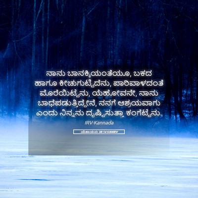 Picture 05 - ಯೆಶಾಯನು 38:14 KANIRV - ನಾನು - Bible Verse Picture