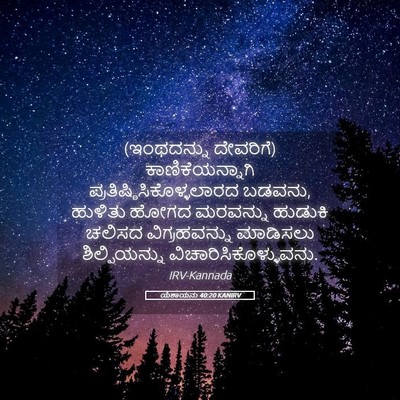 Picture 05 - ಯೆಶಾಯನು 40:20 KANIRV - (ಇಂಥದನ್ನು ದೇವರಿಗೆ) - Bible Verse Picture