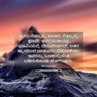 Picture 05 - ಯೆಶಾಯನು 40:24 KANIRV - ಇವರು ನೆಡಲ್ಪಟ್ಟ - Bible Verse Picture